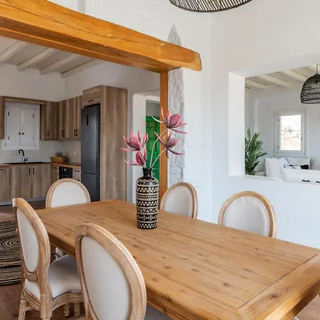 Ryakia Villa, 5 Min Away From Super Paradise Beach Mykonos Town
