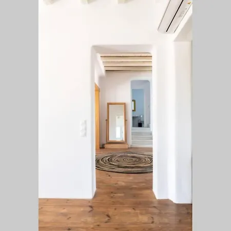 Ryakia Villa, 5 Min Away From Super Paradise Beach Villa